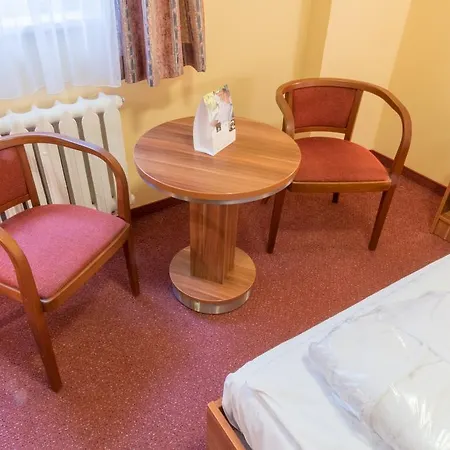 ホテル Ensana Vltava