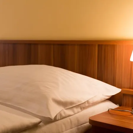 ホテル Ensana Vltava マリアーンスケー・ラーズニェ