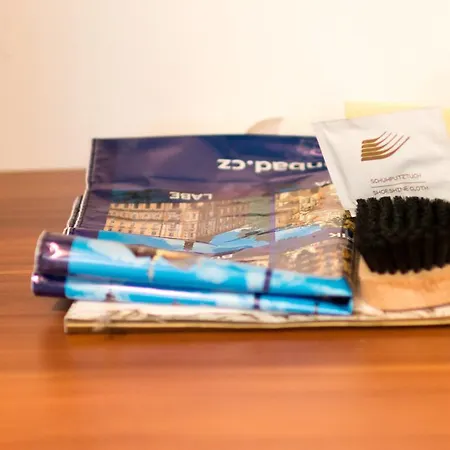 ホテル Ensana Vltava 4*