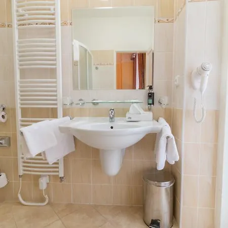 ホテル Ensana Vltava 4*