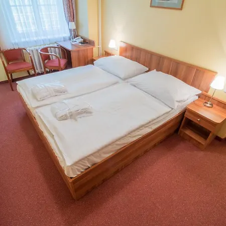 ホテル Ensana Vltava