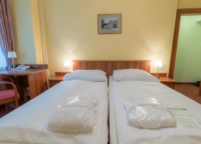 Hotel Ensana Vltava Marianske Lazne